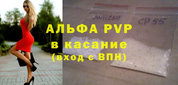 индика Бородино