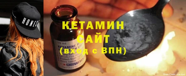 индика Бородино