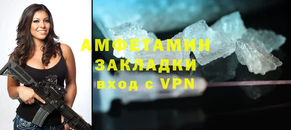 индика Бородино