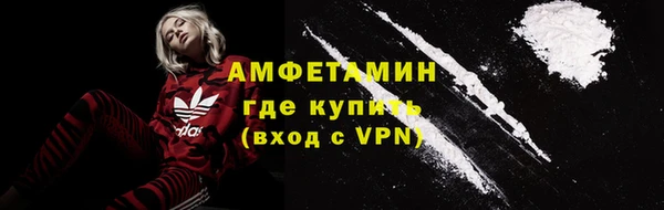 индика Бородино