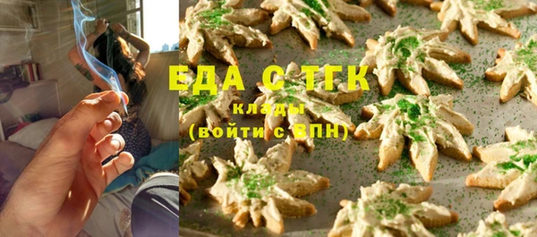 индика Бородино