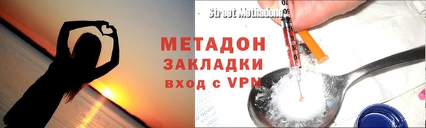 индика Бородино