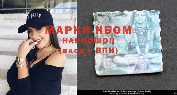 индика Бородино