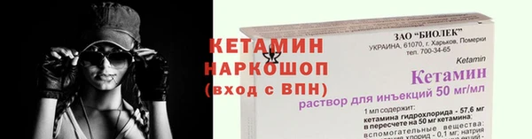 индика Бородино