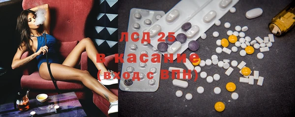 индика Бородино