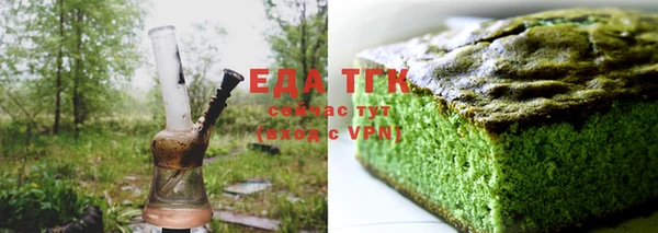 индика Бородино
