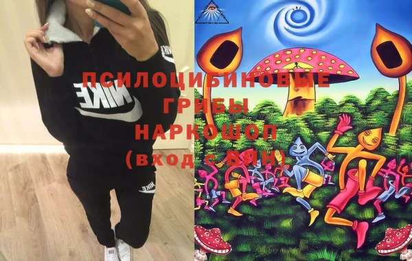 индика Бородино