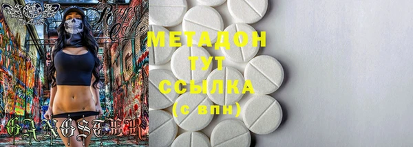 индика Бородино