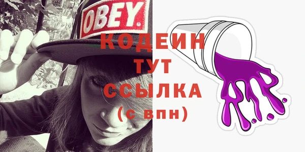 индика Бородино