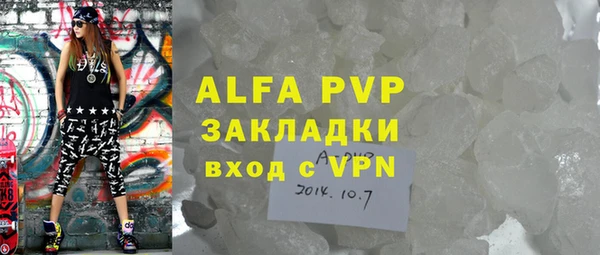 индика Бородино