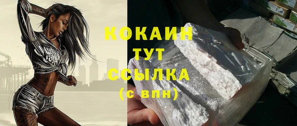 индика Бородино