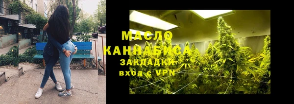 индика Бородино