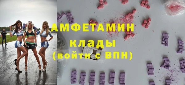 индика Бородино