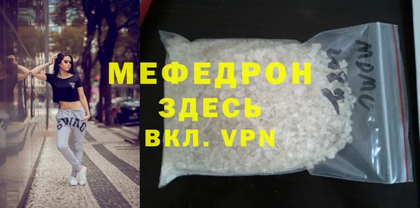 индика Бородино